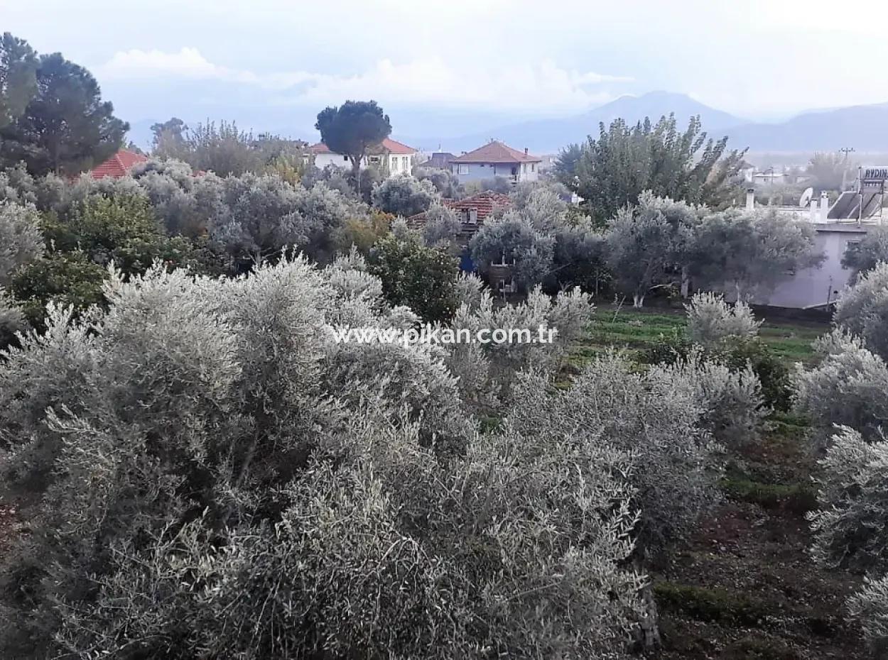 Zoning Grundstücke Mit Seeblick Zum Verkauf In Köycegiz Toparlar