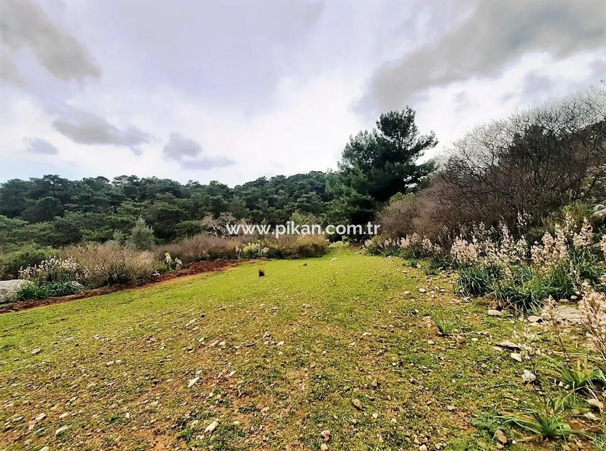 Dalyan Gökbel 13.100 M2 Acker Zum Verkauf In Der Natur