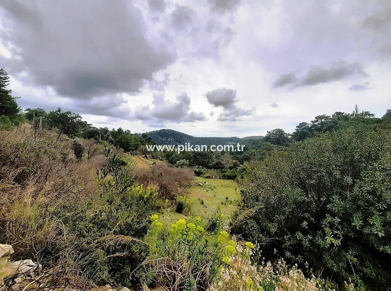 Dalyan Gökbel 13.100 M2 Acker Zum Verkauf In Der Natur