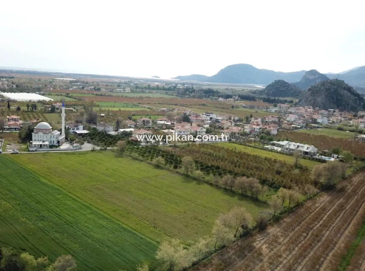 250 M2 Bau Beschlagnahmtes Land Von 5.000 M2 Freistehendes Grundstück In Mugla Dalyan Zum Verkauf