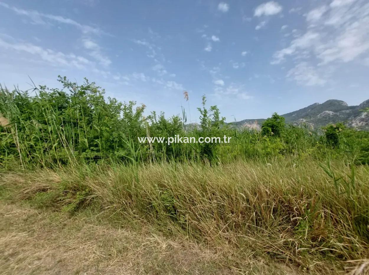 1.500 M2 Freistehendes Feld Zum Verkauf In Dalyan