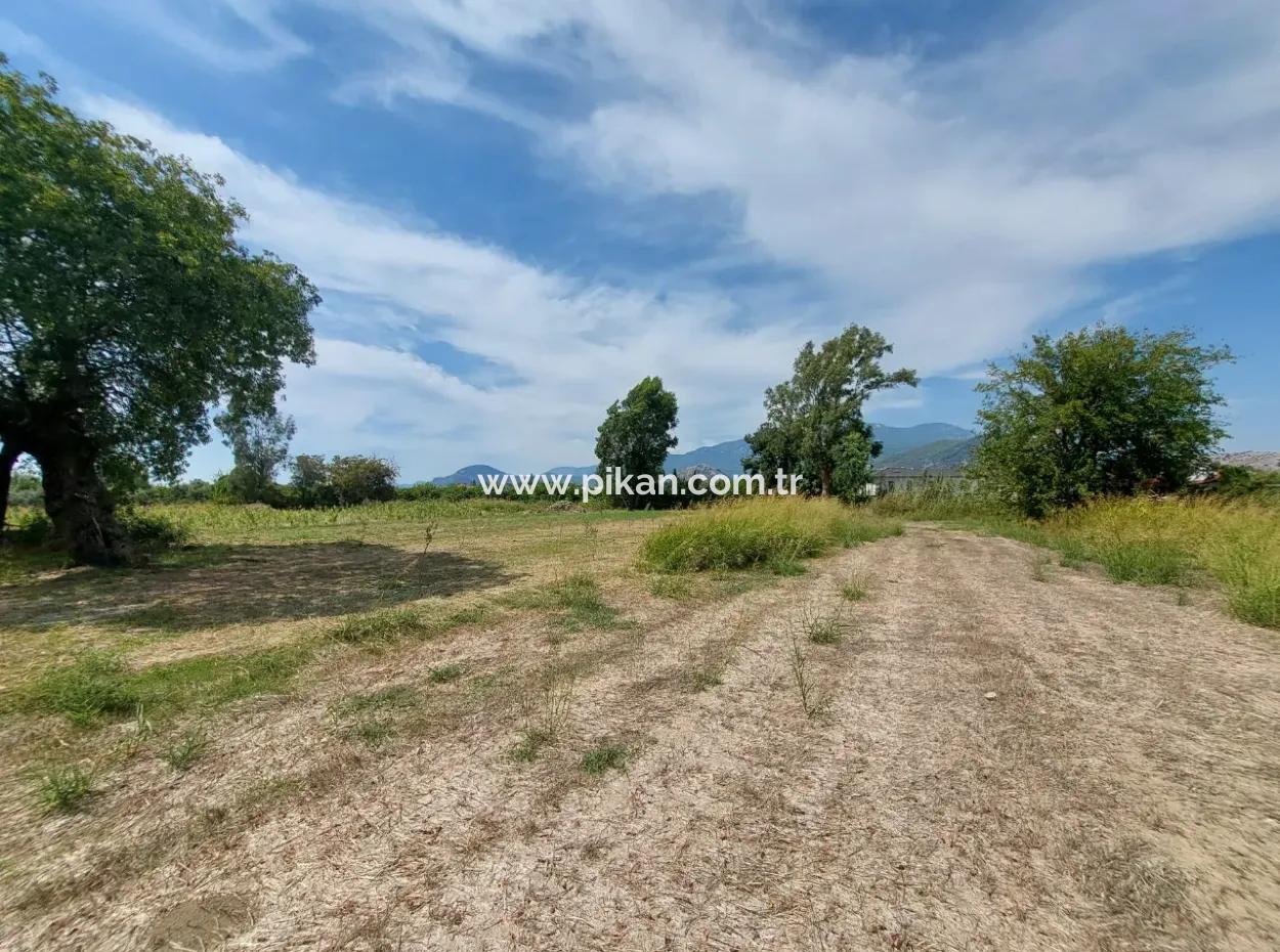 Fruchtbares 1.680 M2 Land Am Berghang Zum Verkauf In Dalyan, Muğla