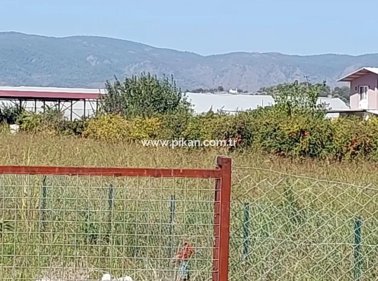 Grundstück Und 2 In 1 Containerhaus Zum Verkauf An Der Dalyan Eskiköy Farm Road