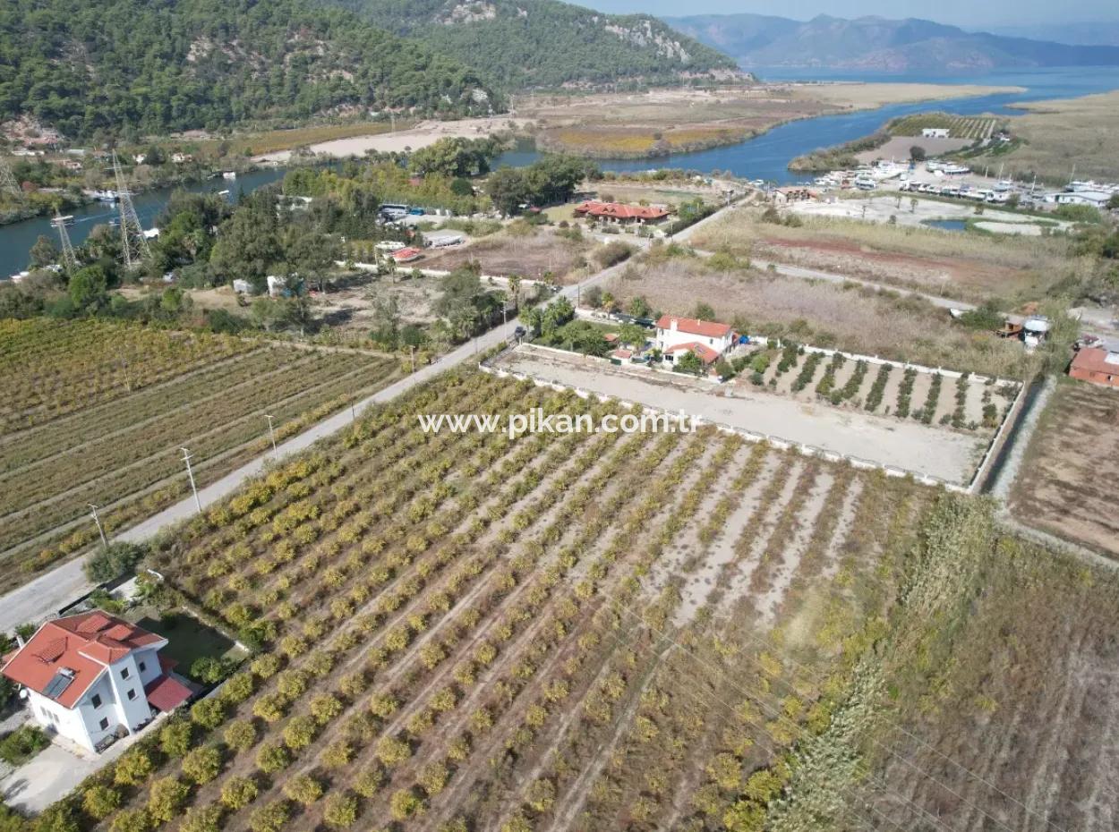 Muğla Dalyanda Kanal 2. Parzelle Freistehend 5.000 M2, 250 M2 Grundstück Mit Baurecht Zu Verkaufen