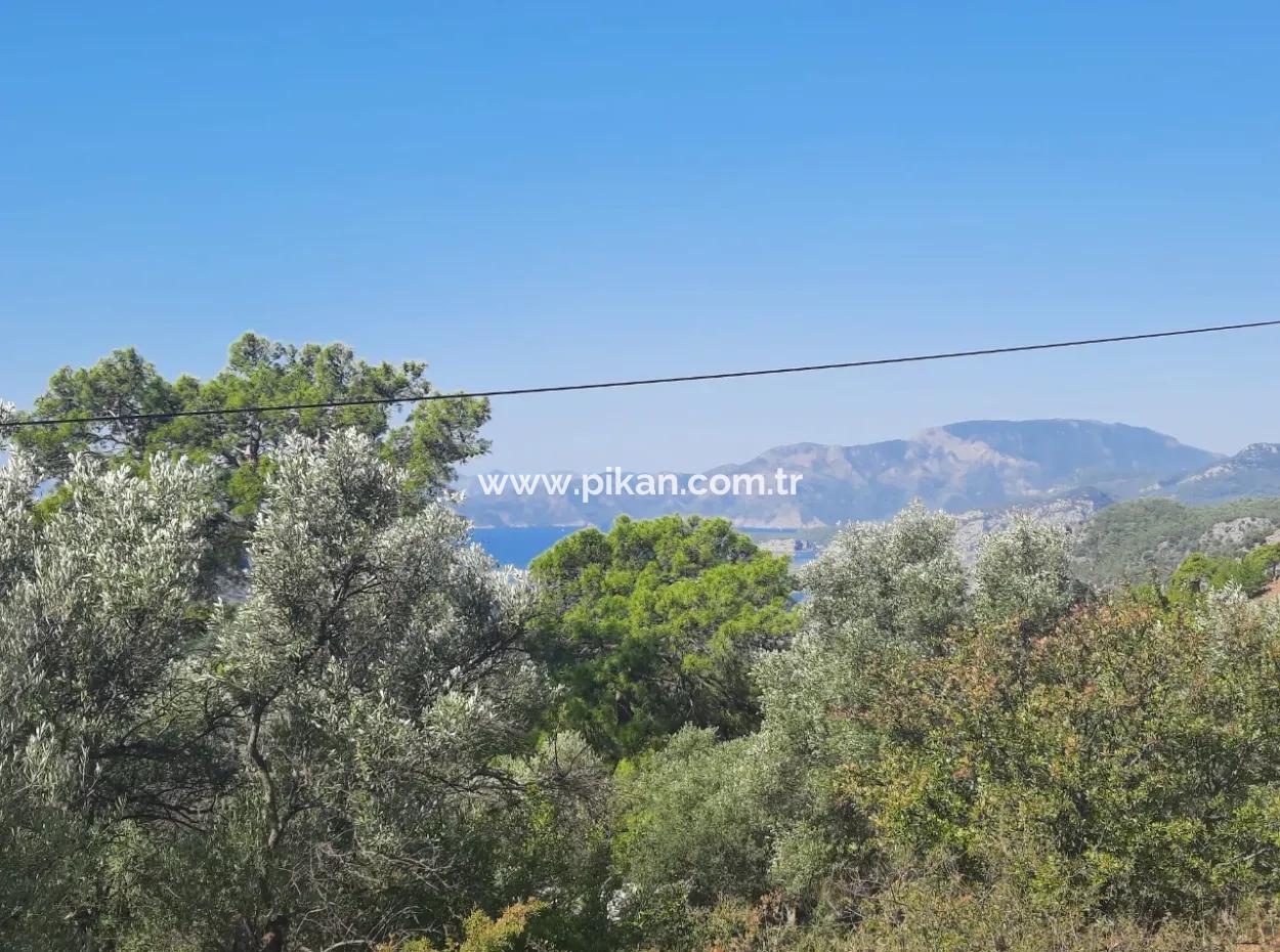 Mugla Gökbelde See- Und Meerblick 1000M2 Land Zum Verkauf