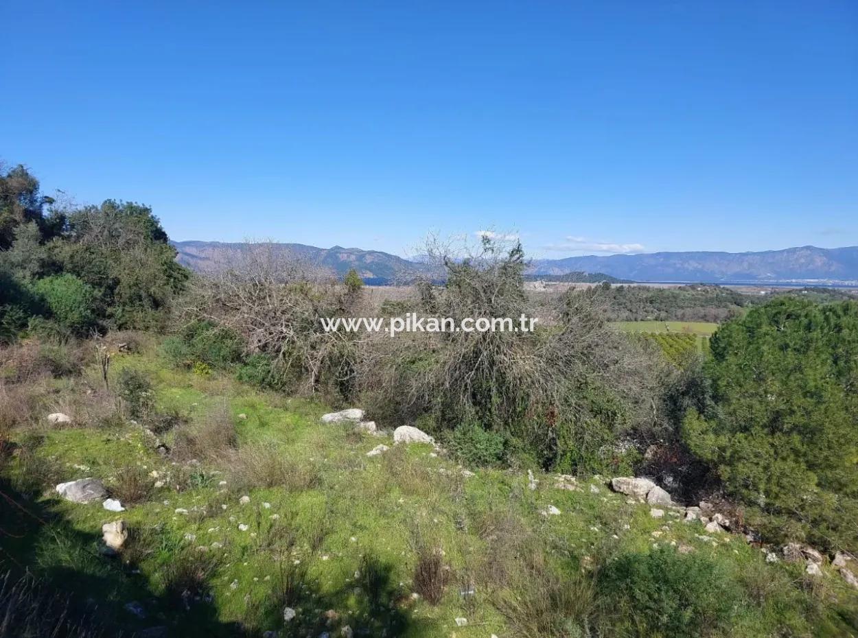 1.000M2 Freistehendes Grundstück Mit Blick Auf Den Köyceğiz-See Zum Verkauf In Dalyan