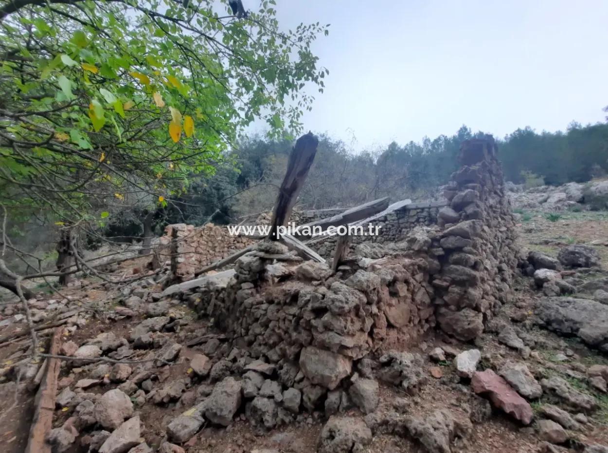 24.000 M2 Freistehendes Grundstück Zum Verkauf In Muğla Dalyan Gökbelde Natur