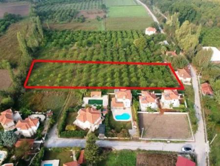 Muğla Okçular Marmarlıda 4.000M2 Bebauungsplan, Grundstück Für Investitionen Geeignet Zum Verkauf