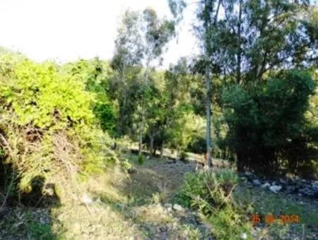 600 M2 Garten Mit Meerblick Zum Verkauf In Mugla Fethiye Eldirek