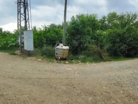 Muğla Ortaca Fevziye 3 Km Vom Meer Entfernt 6 200M2 Feld Zum Verkauf