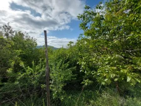 300 M2 Wohngrundstück Zum Verkauf Im Zentrum Von Çameli