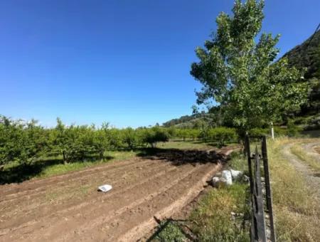 Ortaca Mergenlide Bergseite, 1 700 M2 Zoniert Schnäppchenland Zum Verkauf