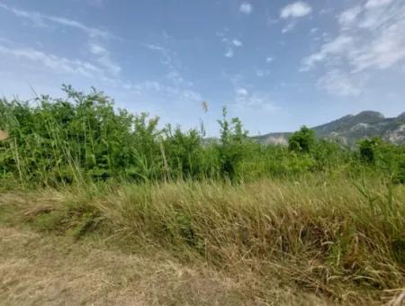 1.500 M2 Freistehendes Feld Zum Verkauf In Dalyan