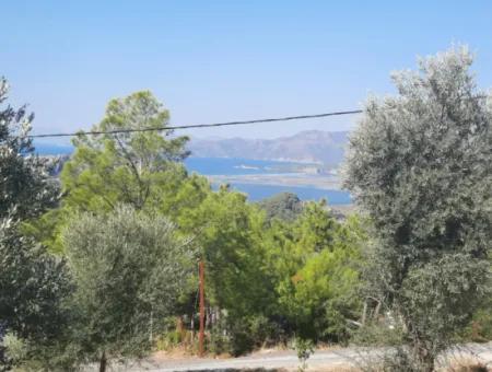 Muğla Dalyan Gökbelde Meer- Und Seeblick, Schwimmbad, Möbliertes Steinhaus Zu Vermieten