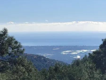 120 M2, 3 1 Einstöckiges Haus Zum Verkauf Auf 8500 M2 Land Mit Meer- Und Naturblick In Antalya Finike Alacadağ