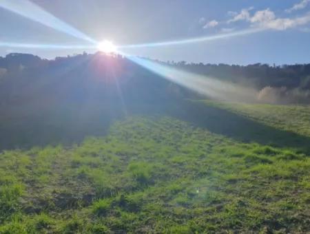 Denizli Çameli Kirazlıyayla Nature View 2 223 M2 Freistehendes Grundstück Zum Verkauf