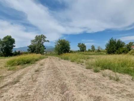 Fruchtbares 1.680 M2 Land Am Berghang Zum Verkauf In Dalyan, Muğla