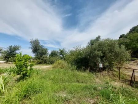 Fruchtbares 1.680 M2 Land Am Berghang Zum Verkauf In Dalyan, Muğla