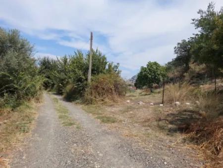 Fruchtbares 1.680 M2 Land Am Berghang Zum Verkauf In Dalyan, Muğla