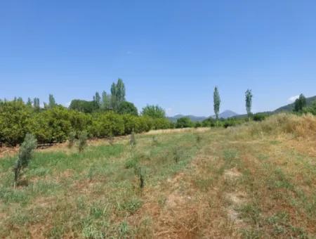 550M2 Geteiltes Grundstück Zum Verkauf Im Bebauten Gebiet Des Dorfes In Ortaca Kemaliye