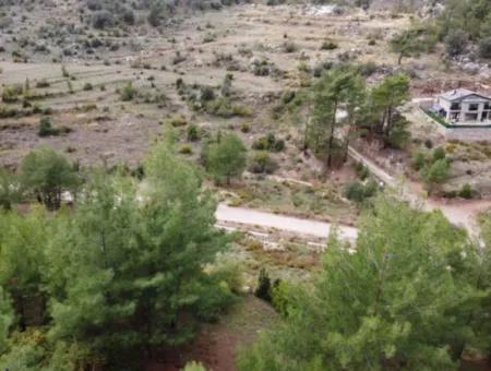 Fethiye Üzümlü Kızılbelde 7.000M2, 250M2 Grundstück Zum Verkauf Mit Baurechten, Geeignet Für Investitionen