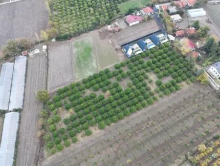 9750 M2 Grundstück Zum Verkauf In Ortaca Okçular Bebauungsplan, Geeignet Für Investitionen