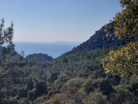 28.350 M2 Grundstück Zum Verkauf In Ortaca Gökbelde Mit Freistehender Eigentumsurkunde Mit Meerblick