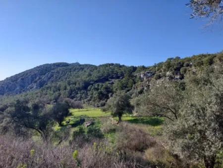 28.350 M2 Grundstück Zum Verkauf In Ortaca Gökbelde Mit Freistehender Eigentumsurkunde Mit Meerblick