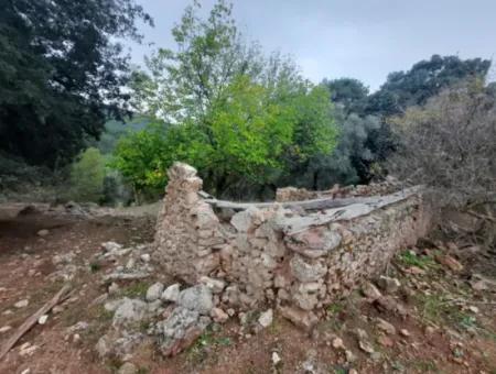 24.000 M2 Freistehendes Grundstück Zum Verkauf In Muğla Dalyan Gökbelde Natur