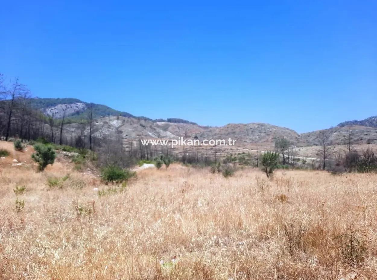 Muğla Dalaman 42.432M2 Detached Land With Title Deed For Sale