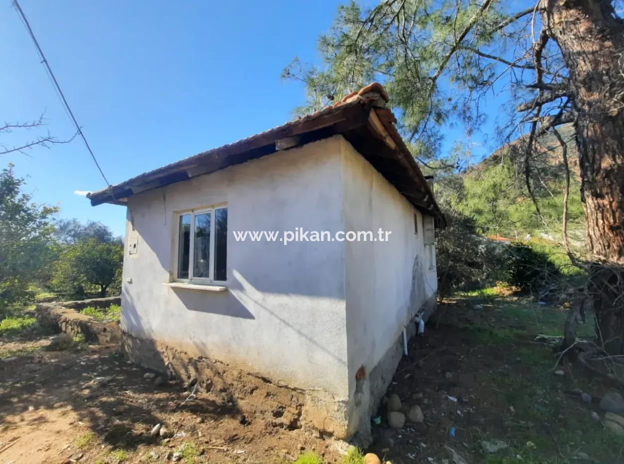 Köyceğiz Toparlarda 4 200 M2 Land Single Storey Detached House For Sale