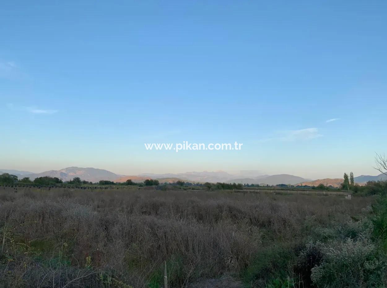 26.200 M2 Detached Field And 3.000 M2 200 Avocados For Sale In Ortaca Güzelyurt