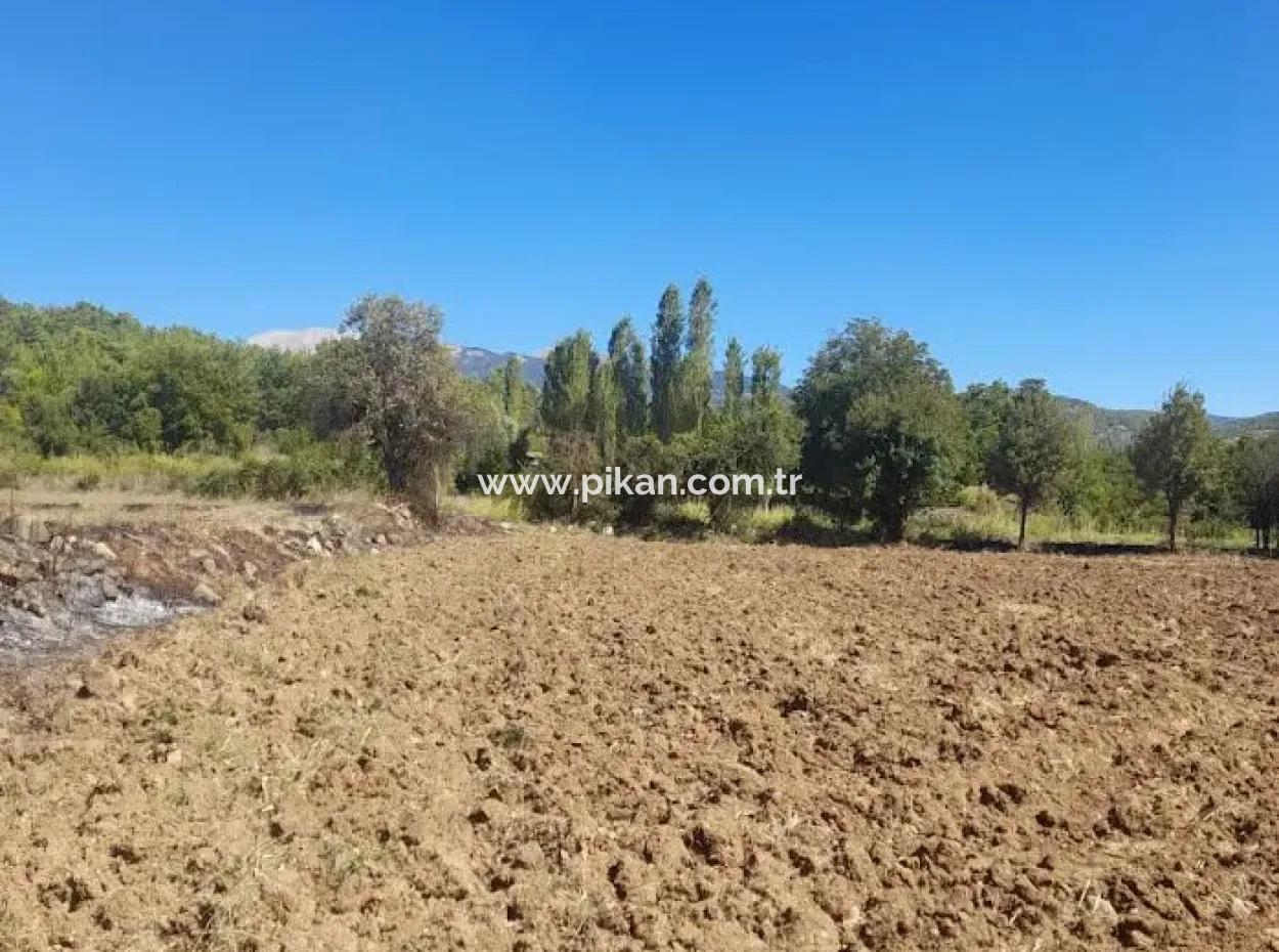 Denizli Beyağaç Sazak 317 M2 Detached Land With Title Deed Zoning For Sale