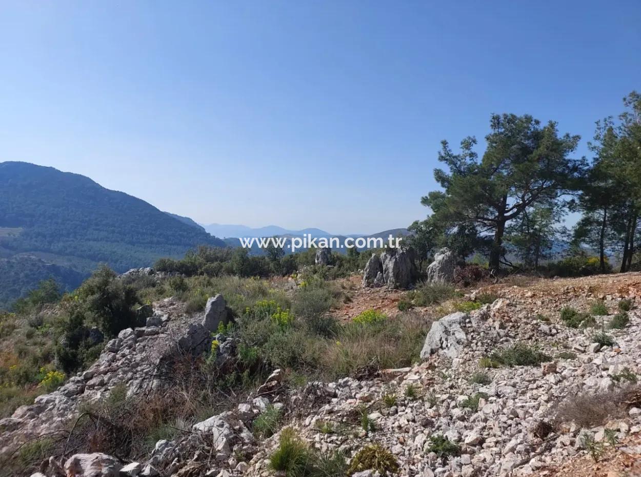 1 300 M2 63 M2 Zoned Land For Sale In Gocek Gökçeovacik