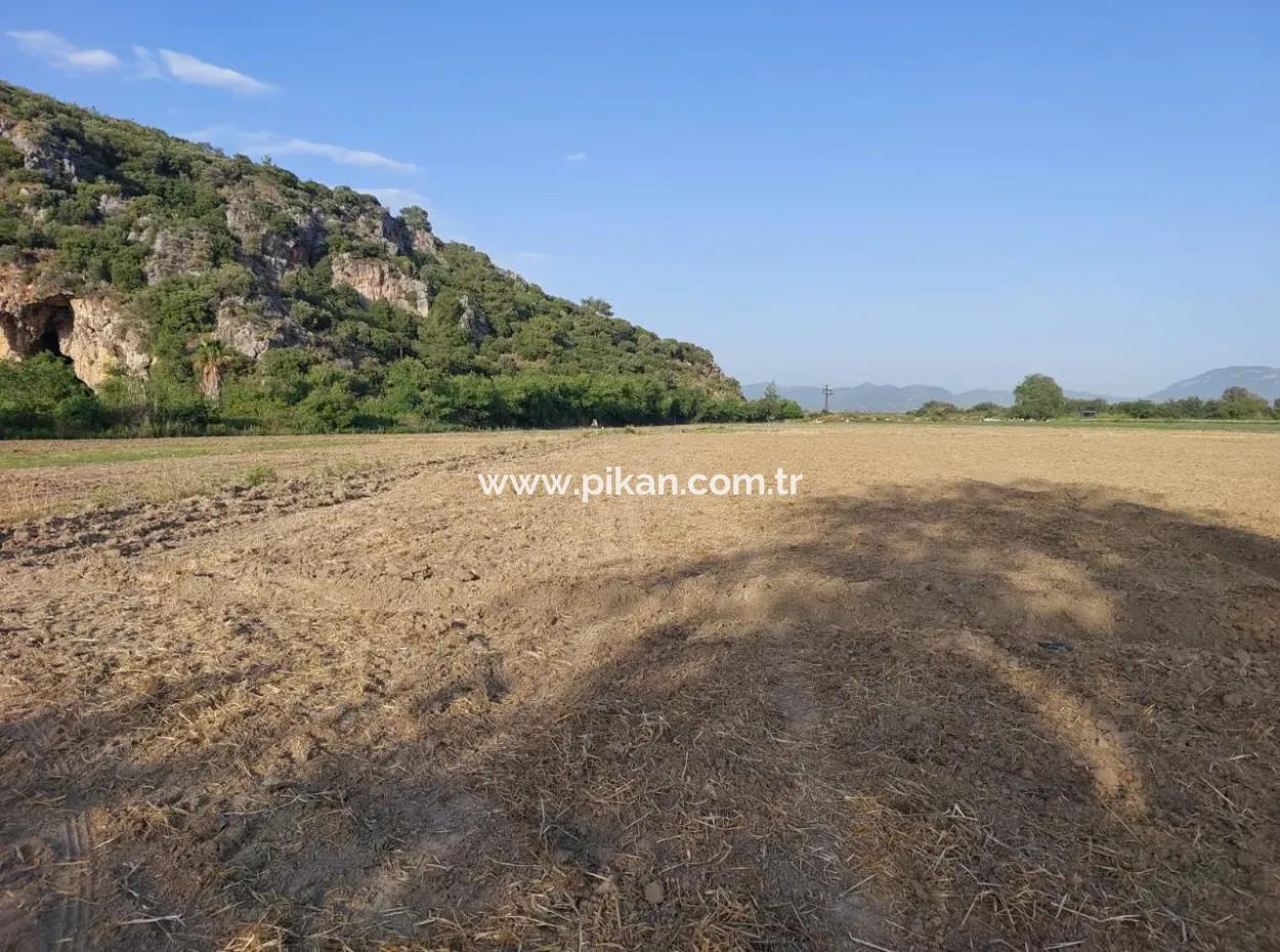 500 M2 Land With Bargain Detached Title Deed For Sale In Muğla Ortaca Fevziye.