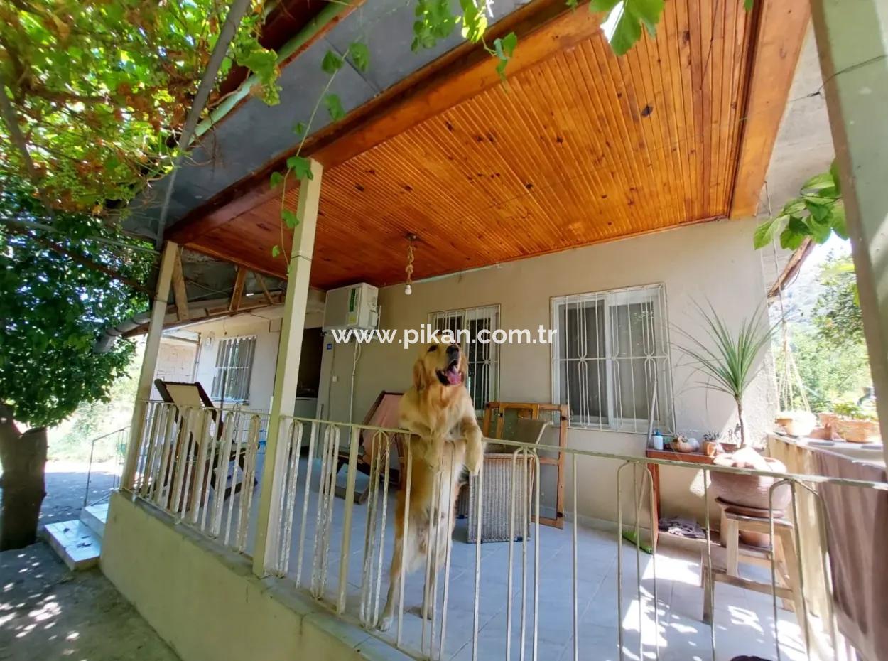 Single-Storey Detached 2 1 Village House For Rent On 4 600 M2 Land In Muğla Ortaca Ekşiliyurt