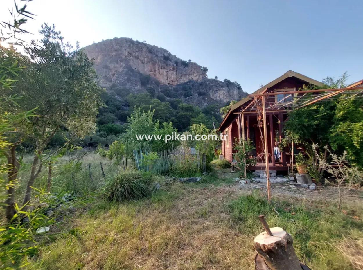 Single Storey House For Sale On 15 000 M2 Detached Land Close To Dalyan Canal In Köyceğiz Çandırda