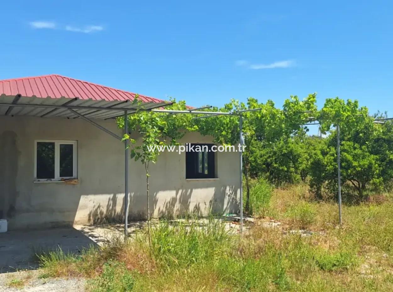 3 1 Village House For Sale In 17.000 M2 Orange Garden In Köyceğiz Toparlar