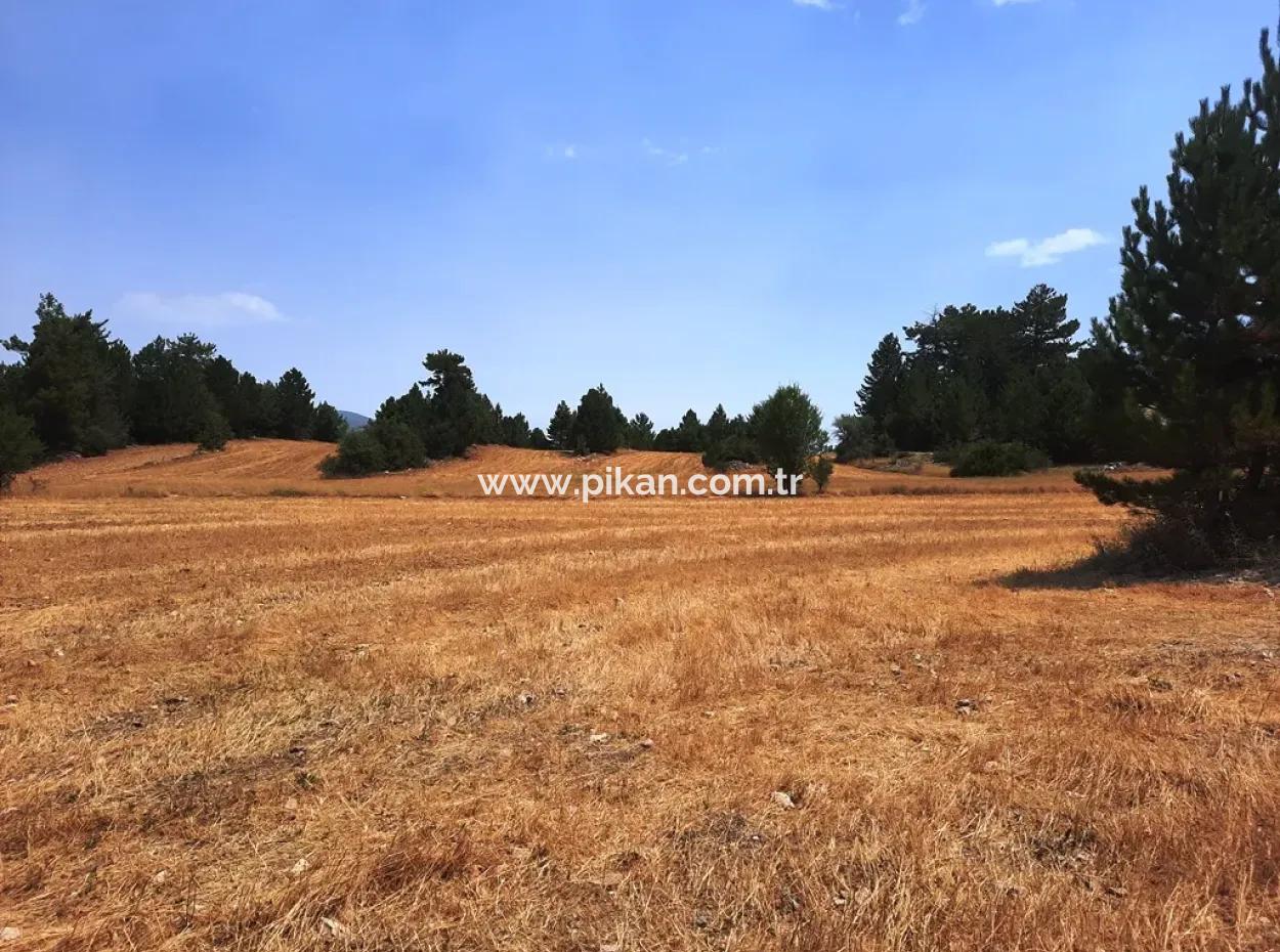 3 Parcels Of Land For Sale In Çameli Gökçeyaka