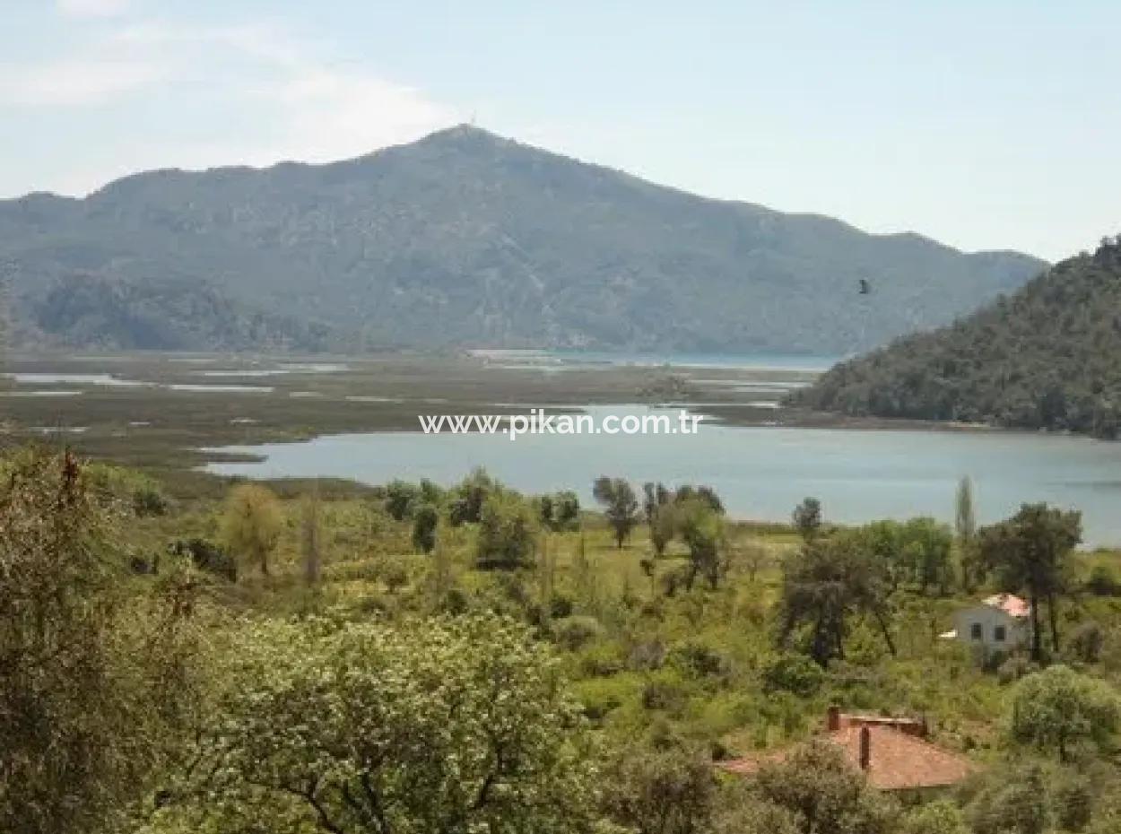 Köyceğiz, Çandırda Close To The Lake, 1160 M2 And Village House For Sale