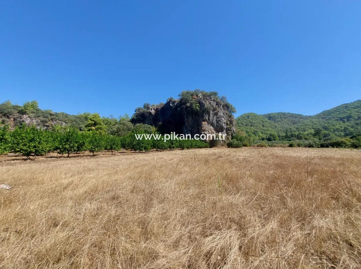 4.427 M2 Fertile Land With Mountain And Nature View In Ortaca Okçular For Sale