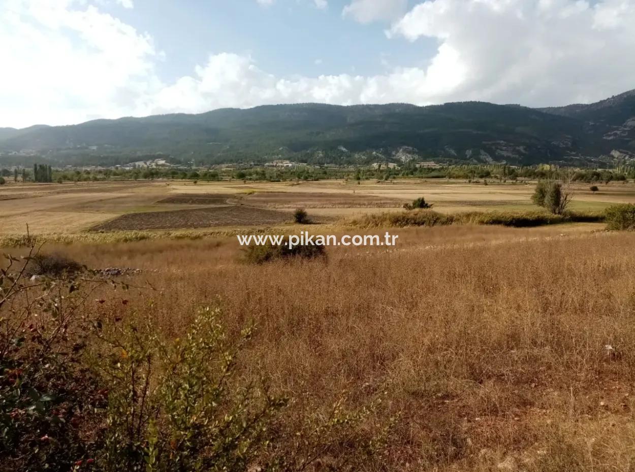 2603 M2 Field For Sale In Denizli Çameli Belevi Neighborhood