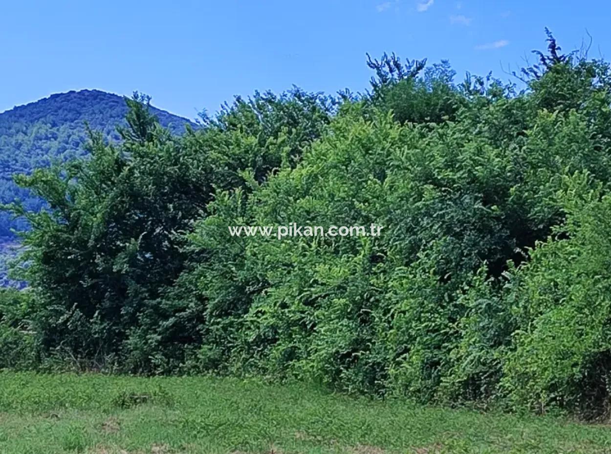 Muğla Ortaca Fevziye 8.440 M2 Land, 703 M2 Shared Field For Sale