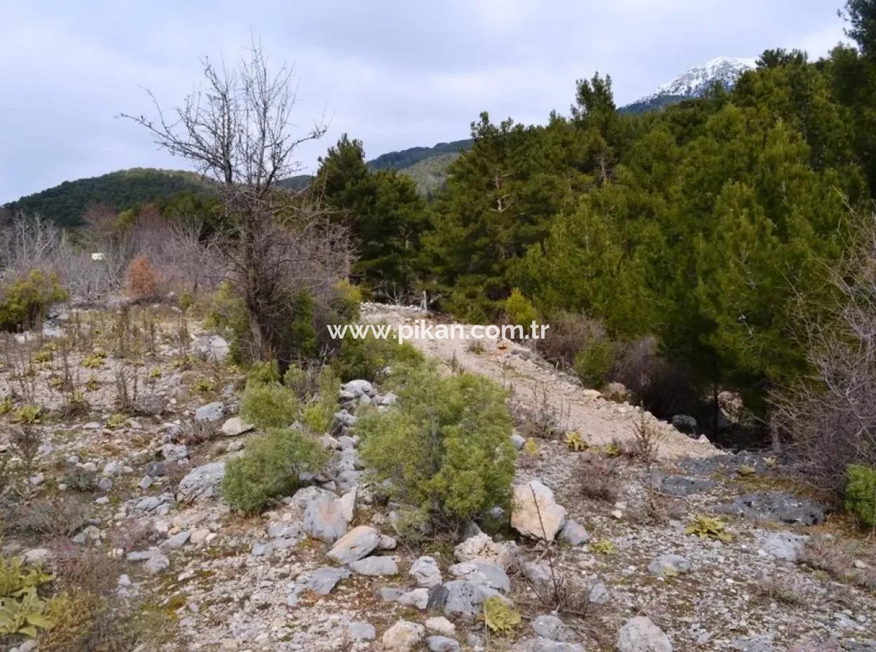 For Sale Bargain Land In Fethiye Ta Sty