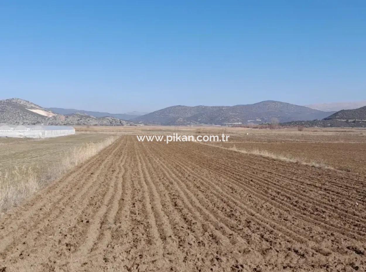 6 600 M2 Detached Land With Lake View For Sale In Burdur Gölhisar Kargalı Village