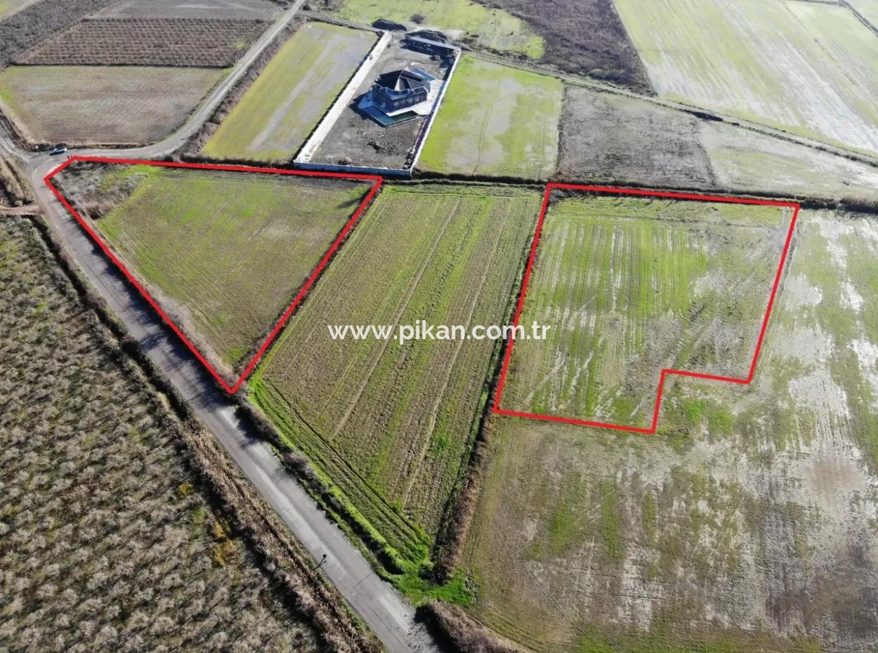 Fields Suitable For Cooperative In Ortaca Güzelyurt Are For Sale