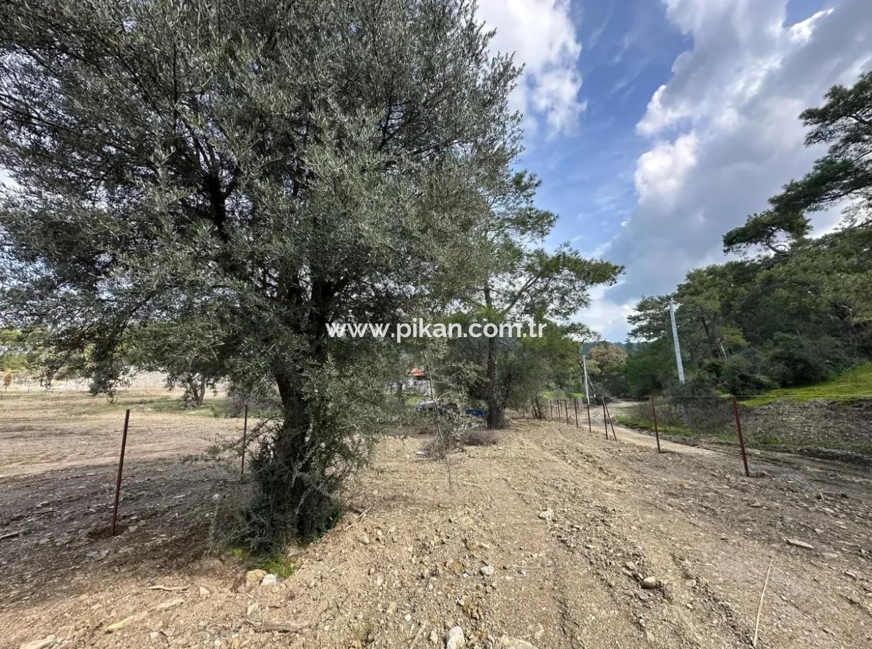 1084 M2 Corner Parcel For Sale In Dalyan Gökbelde