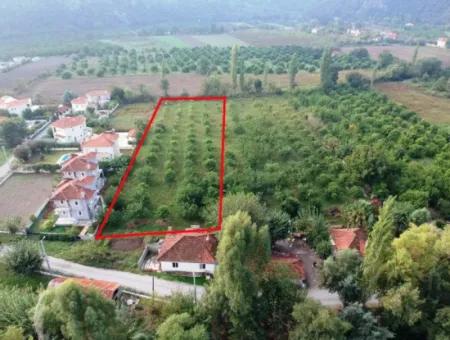 Muğla Okçular Marmarlıda 4.000M2 Zoning Plan Land Suitable For Investment For Sale