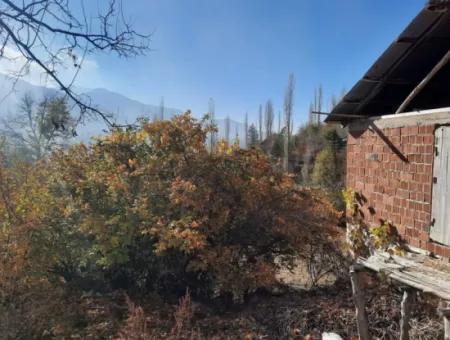 Çameli Cevizli Bargain Barn And 2650 M2 Land For Sale