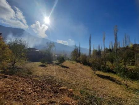 Çameli Cevizli Bargain Barn And 2650 M2 Land For Sale